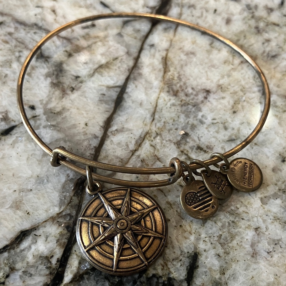 Alex and Ani Bronze Compass Charm Bangle - Gold-Tone